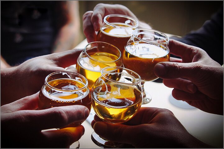 Cheers to Hawkes Bay Scenic Tours